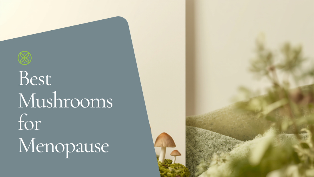 Best mushrooms for menopause — Ecogenya