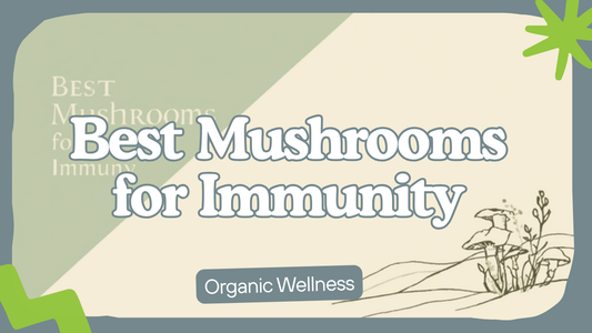 Best mushrooms for immune support — Ecogenya