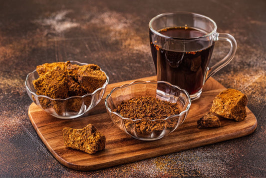 Ecogenya blog: Chaga tea, the ultimate winter tea for health and wellness