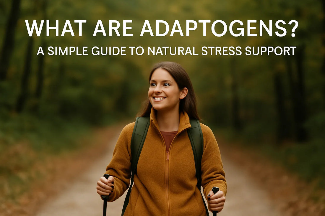 Ecogenya blog: what are adaptogens, a simple guide to natural stress support