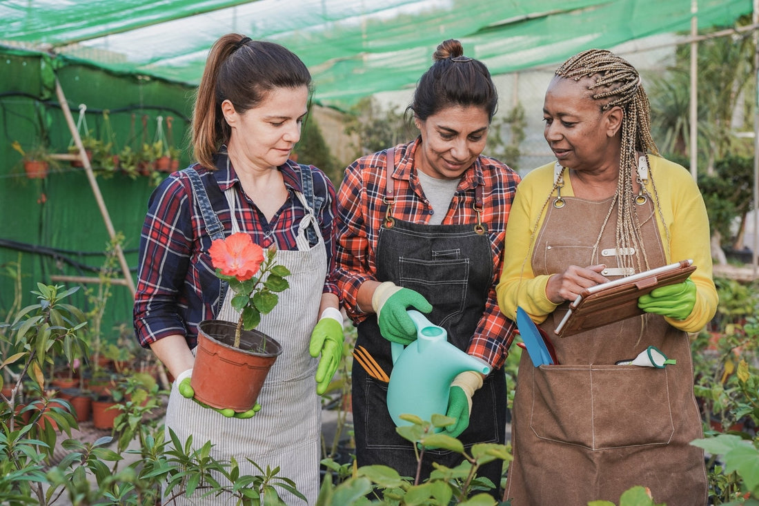 Ecogenya blog: menopause symptoms and causes