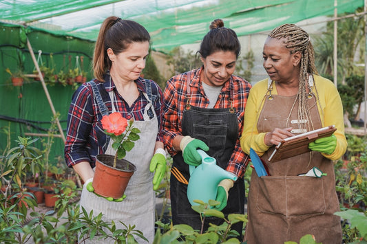Ecogenya blog: menopause symptoms and causes