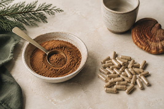 Mushroom extract powder and vegetarian capsules compared on a warm stone surface