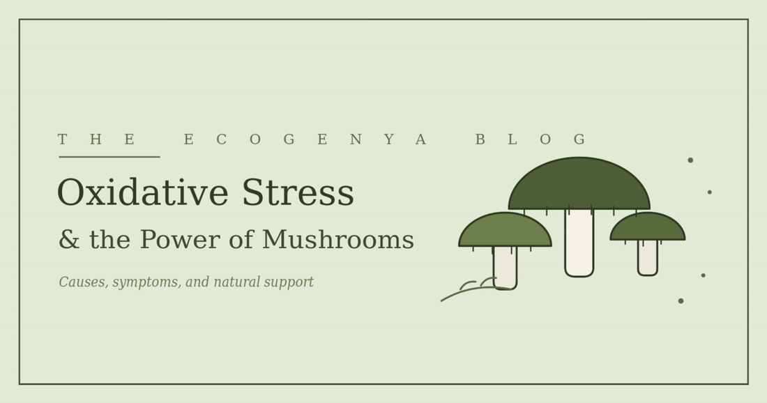 Oxidative Stress: Understanding the Causes, Symptoms, and How Mushrooms Can Help Reduce It