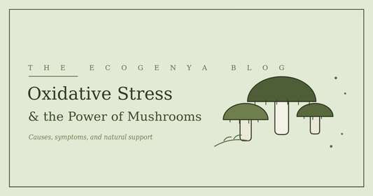 Oxidative Stress: Understanding the Causes, Symptoms, and How Mushrooms Can Help Reduce It