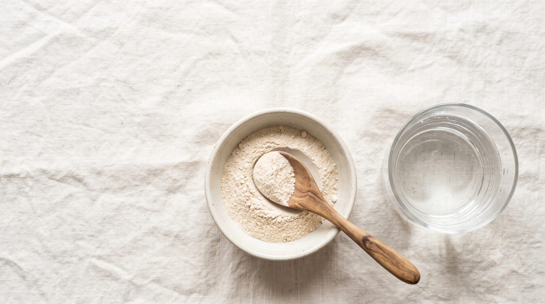 Lion's Mane mushroom extract powder in a calm flat-lay