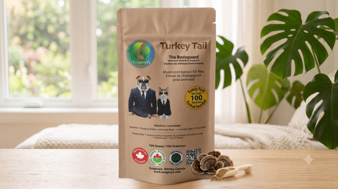 Canadian-made turkey tail for dogs