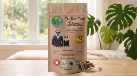 Canadian-made turkey tail for dogs