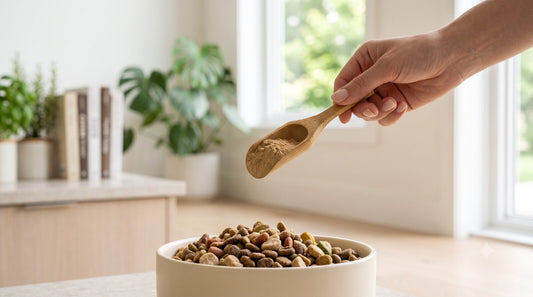 Measuring turkey tail with the bamboo scoop over a dog's food
