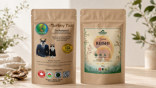 Turkey tail vs reishi for dogs comparison