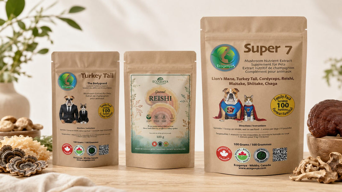 Single mushroom extracts vs Super 7 blend for dogs