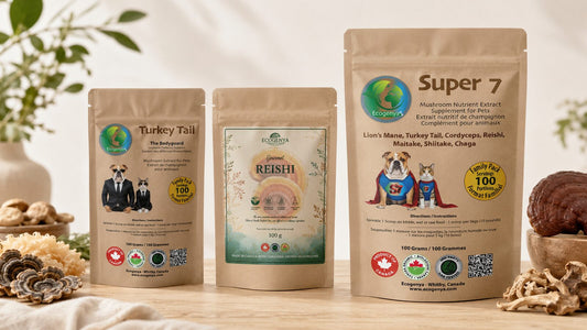 Single mushroom extracts vs Super 7 blend for dogs