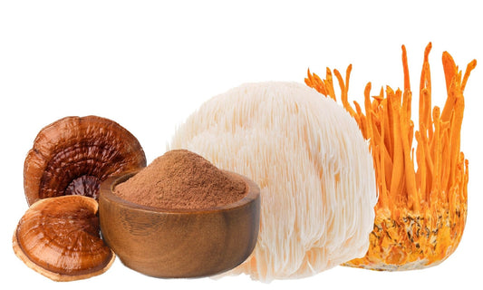 Ecogenya blog: the adaptogenic power of mushrooms for managing stress and wellness