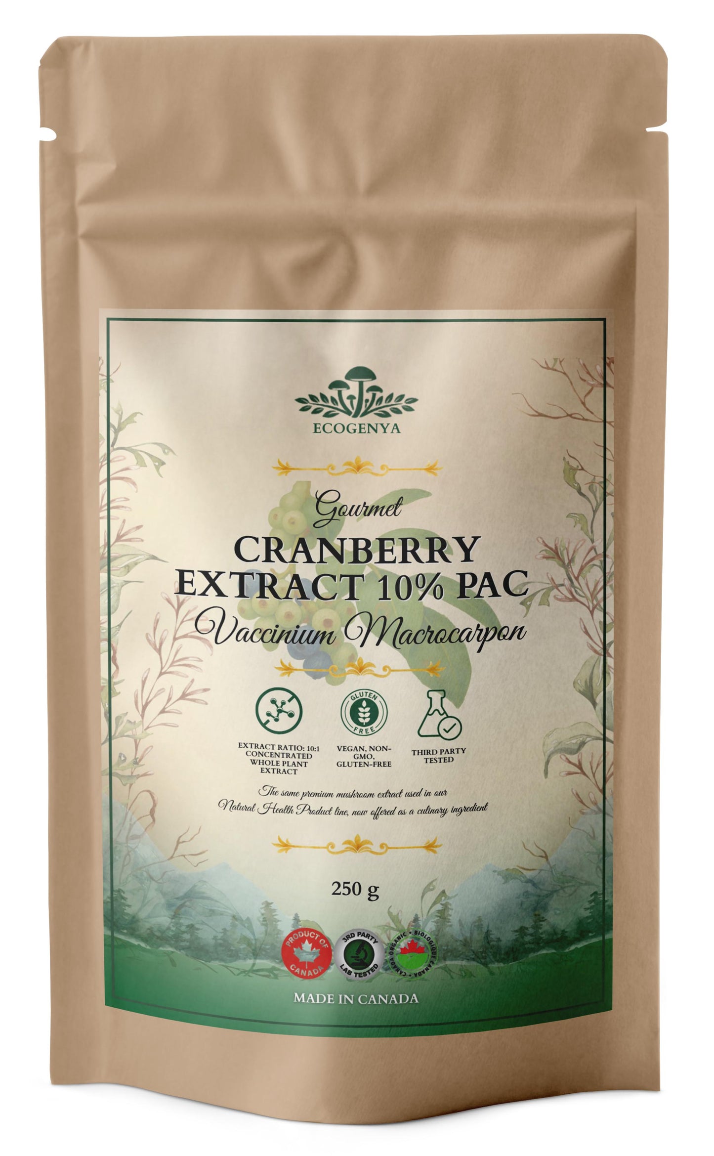 Extrait de canneberge 10 % PAC