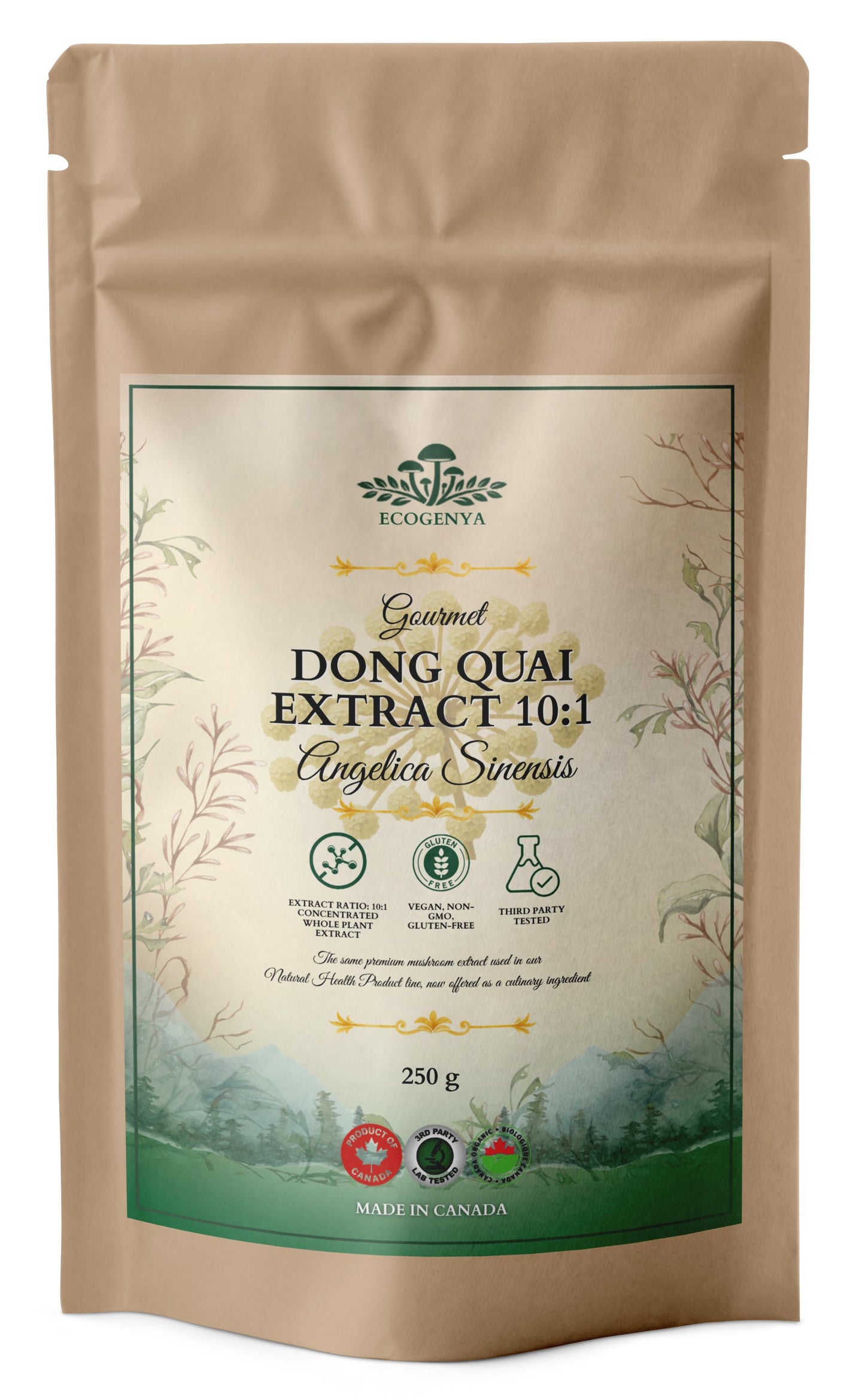Dong Quai Extract 10:1 – Kitchen-Ready