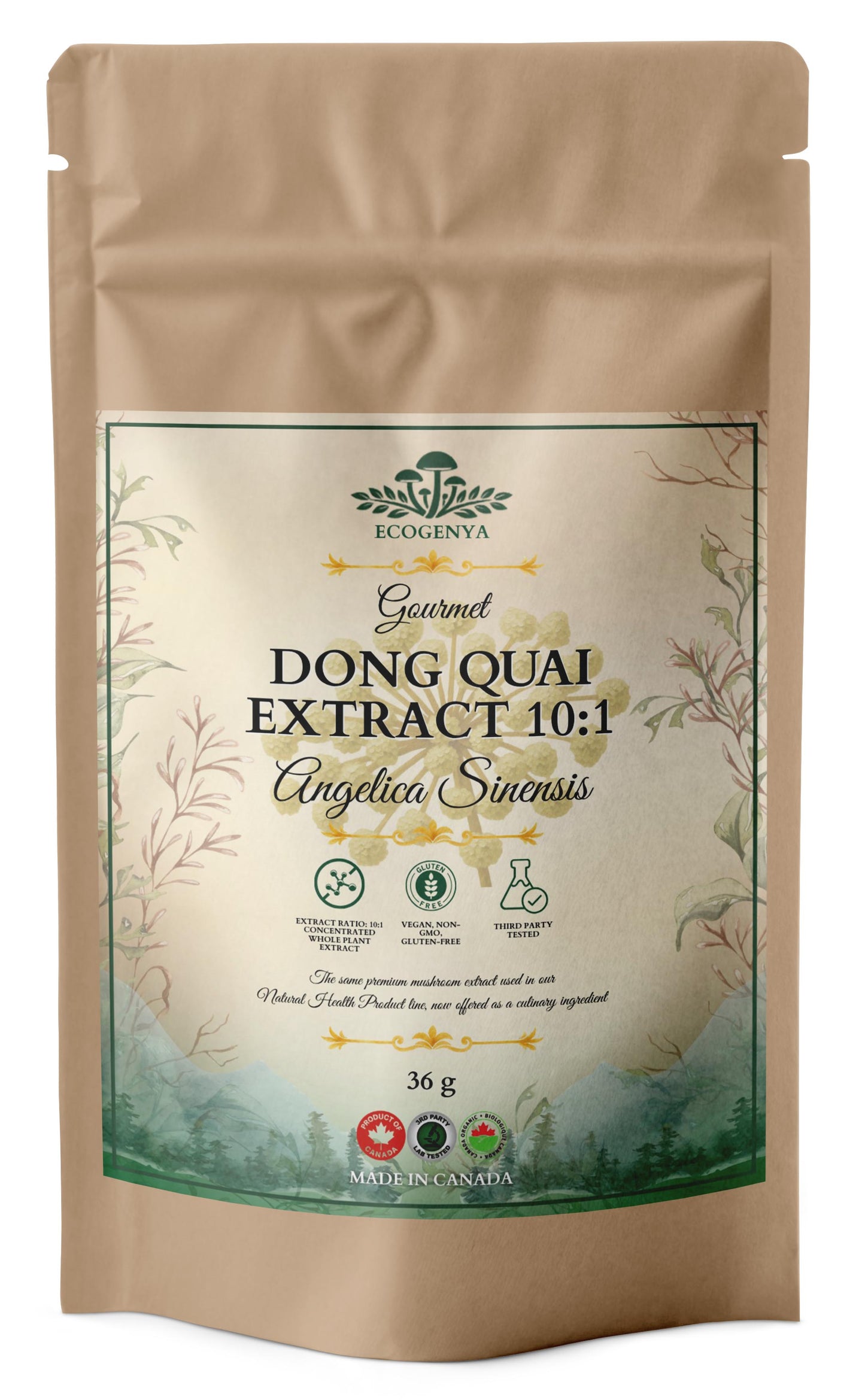 Dong Quai Extract 10:1 – Kitchen-Ready