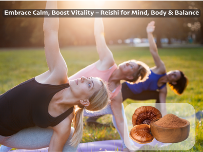 Organic Reishi (Ganoderma lucidum) Mushroom extract powder / Extrait de Reishi (Ganoderma lucidum) biologique en poudre