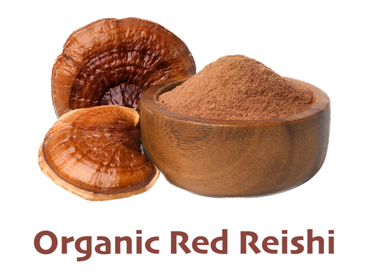 Ecogenya Organic Reishi Mushroom Extract showing the fruiting body — packaged in Canada