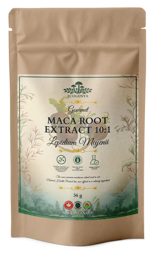 Ecogenya Maca Root Extract 10:1 powder in a 36 g resealable kraft pouch