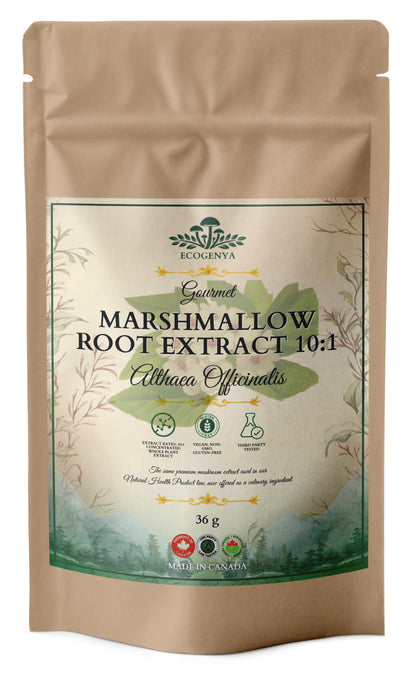 Marshmallow Root Extract 10:1 – Soothing, Whole-Root, Kitchen-Ready
