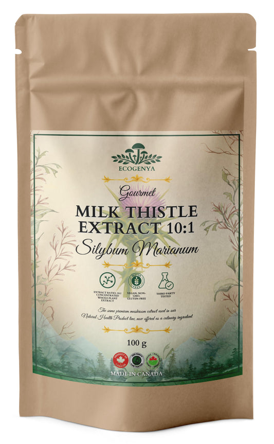 Milk Thistle Extract Powder 10:1