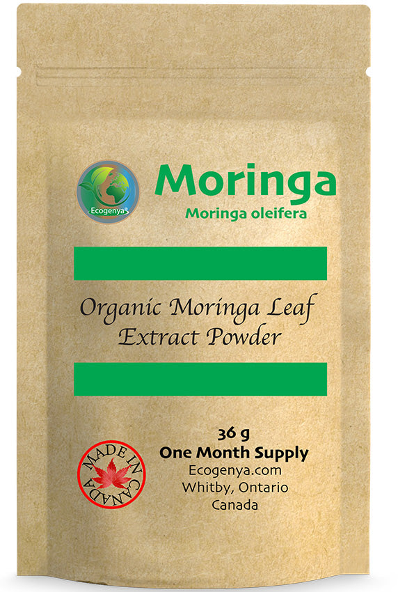 Ecogenya Moringa Leaf Extract Powder | Organic, Non-GMO | Supports Energy, Immunity & Detox