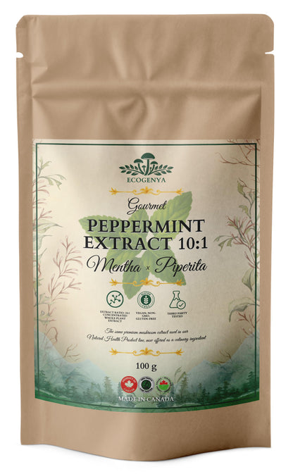 Ecogenya Peppermint Leaf Extract 10:1 powder, 100 g kraft pouch