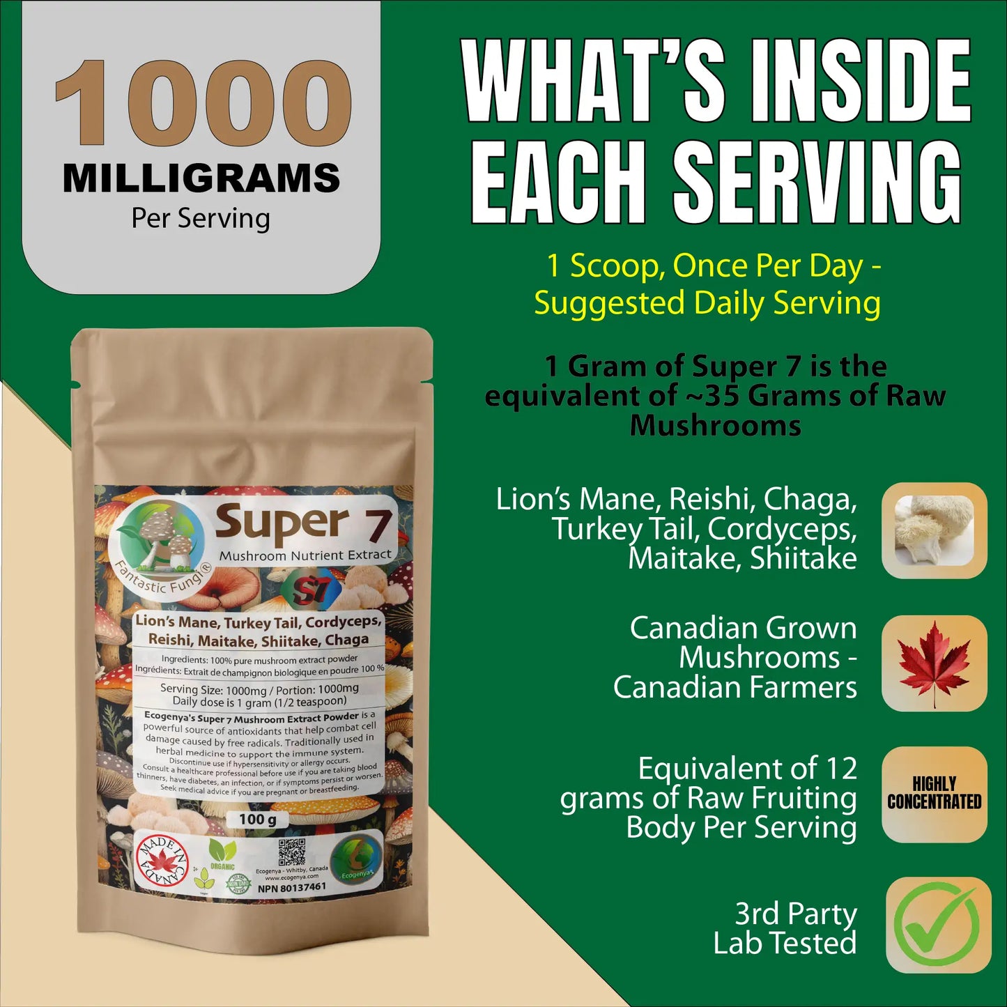 Organic Super Seven Mushroom blend extract powder – Halal, Kosher, Vegan, Non-GMO