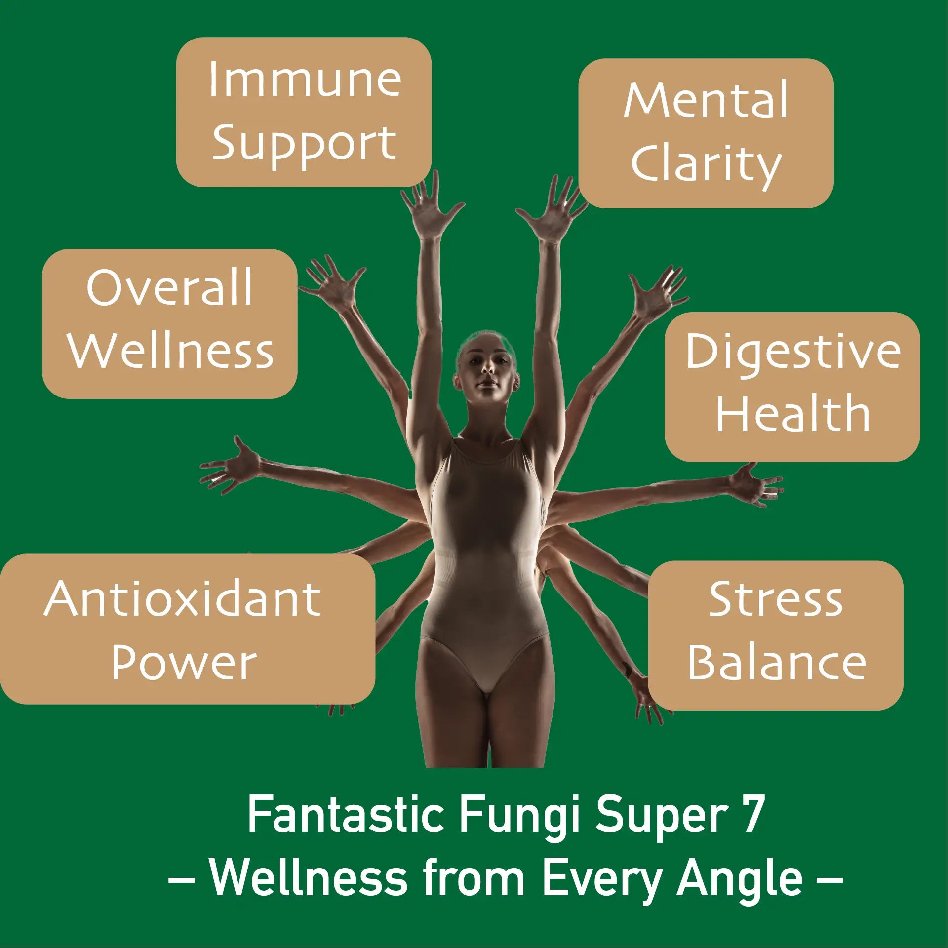 Super 7 Mushroom Powder - Immune Support, Adaptogen & Liver Tonic