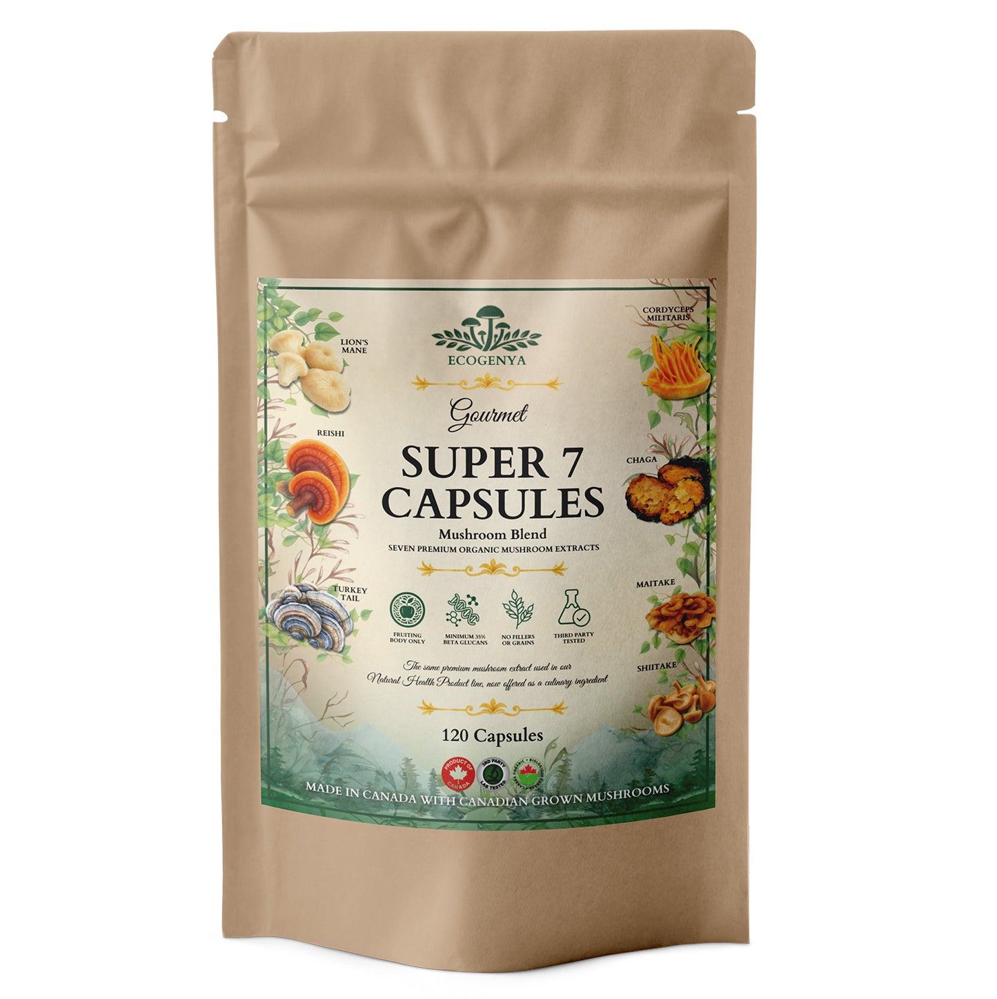 Ecogenya Daily Super 7 Mushroom Capsules – 7 Organic Fruiting Body Extracts, 1000 mg, One a Day