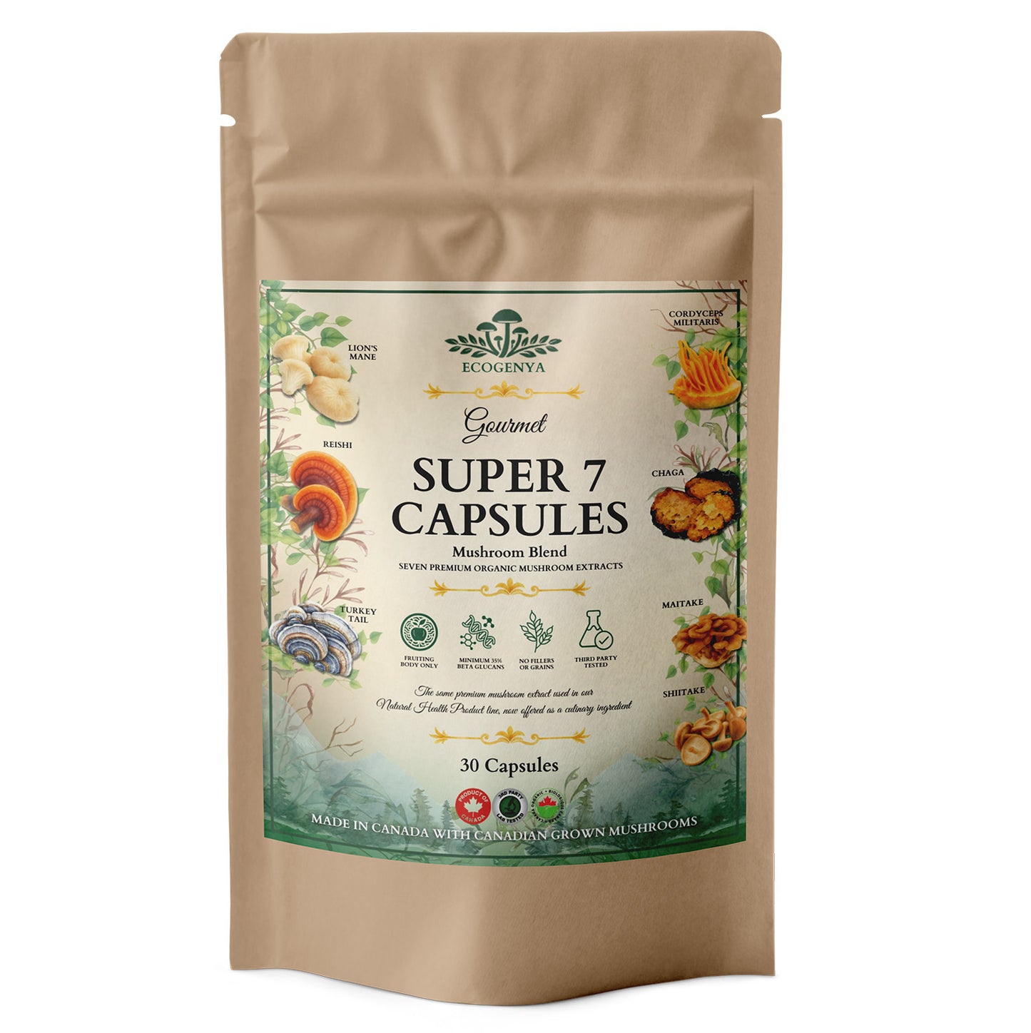 Ecogenya Daily Super 7 Mushroom Capsules – 7 Organic Fruiting Body Extracts, 1000 mg, One a Day