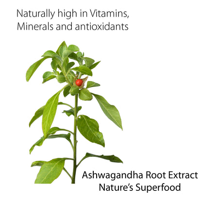 Ecogenya Organic Ashwagandha 5:1 Extract + Piperine | 1100mg Daily Dose | Stress, Sleep, Vitality Support | 550mg Vegan Capsules | Non-GMO, Made in Canada