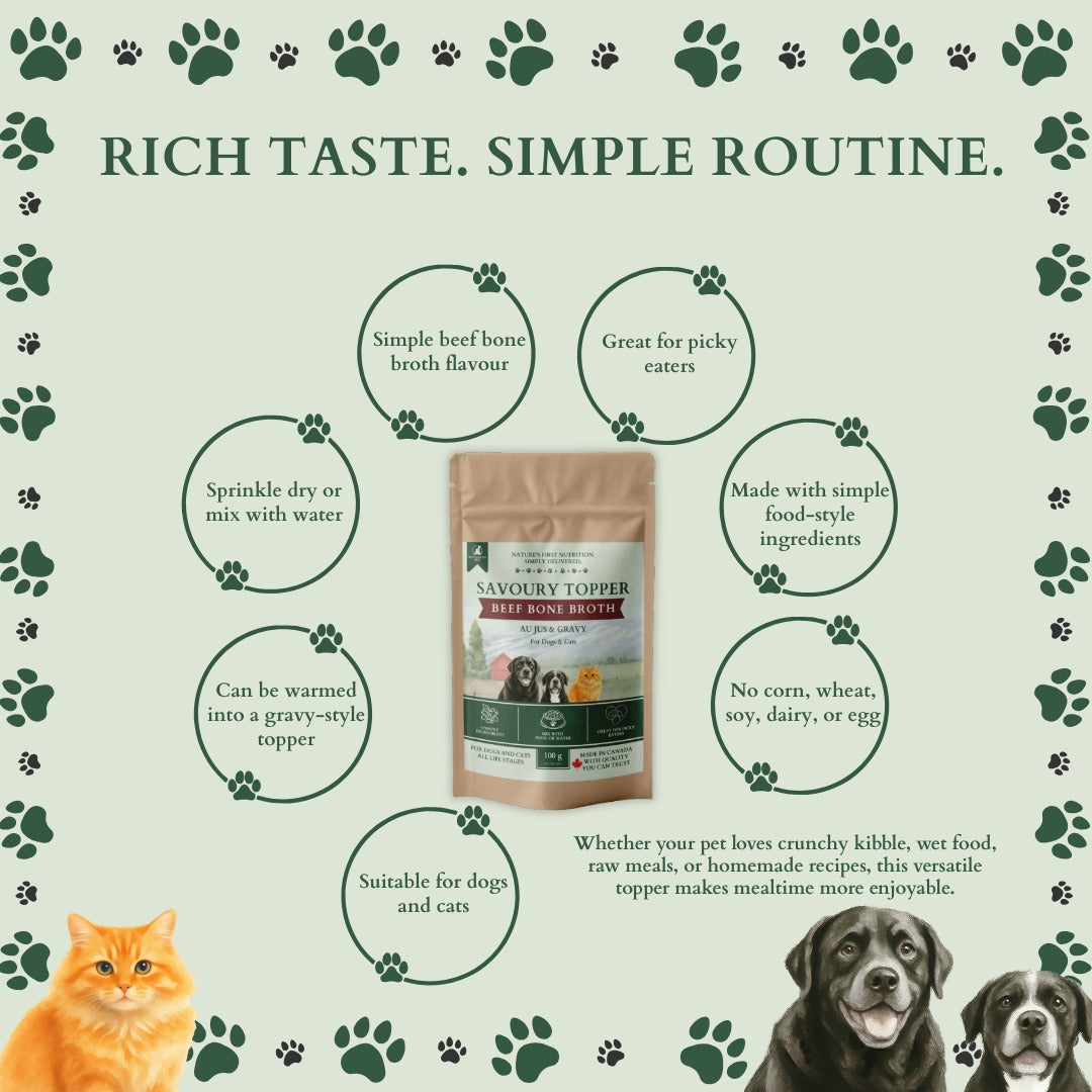 Ecogenya Beef Bone Broth pouch on a sage-green graphic headed 'Rich taste. Simple routine.,' with benefit bubbles for simple beef flavour, picky-eater friendly, gravy-style topper, and no corn, wheat, soy, dairy or egg, beside a cat and two dogs.
