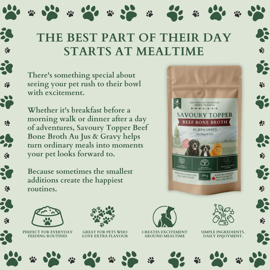 Ecogenya Beef Bone Broth pouch on a sage-green graphic, 'The best part of their day starts at mealtime,' with icons for everyday feeding, extra flavour, mealtime excitement, and simple ingredients.