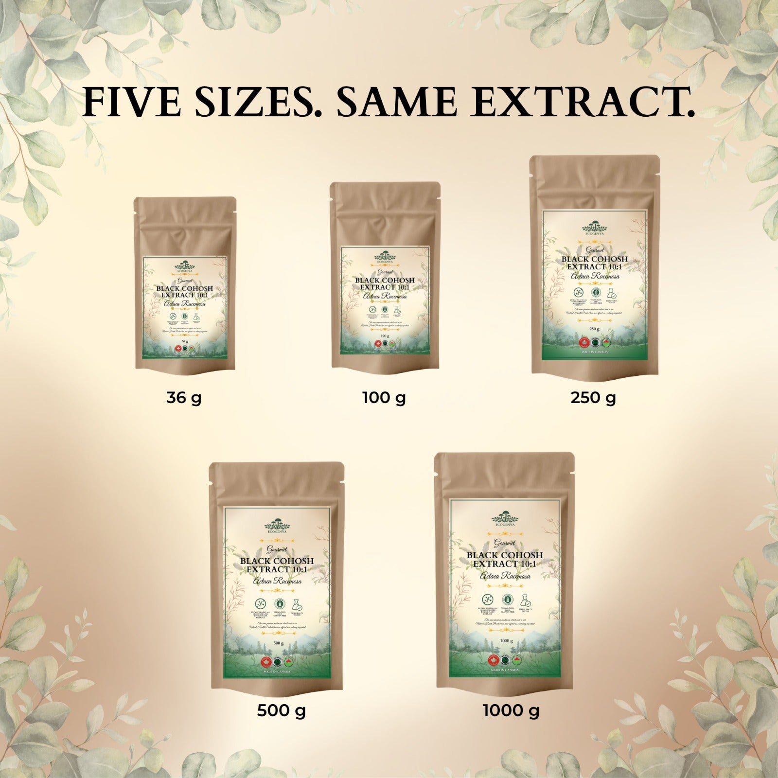 Ecogenya Black Cohosh Extract 10:1 available in 36 g, 100 g, 250 g, 500 g and 1000 g pouches