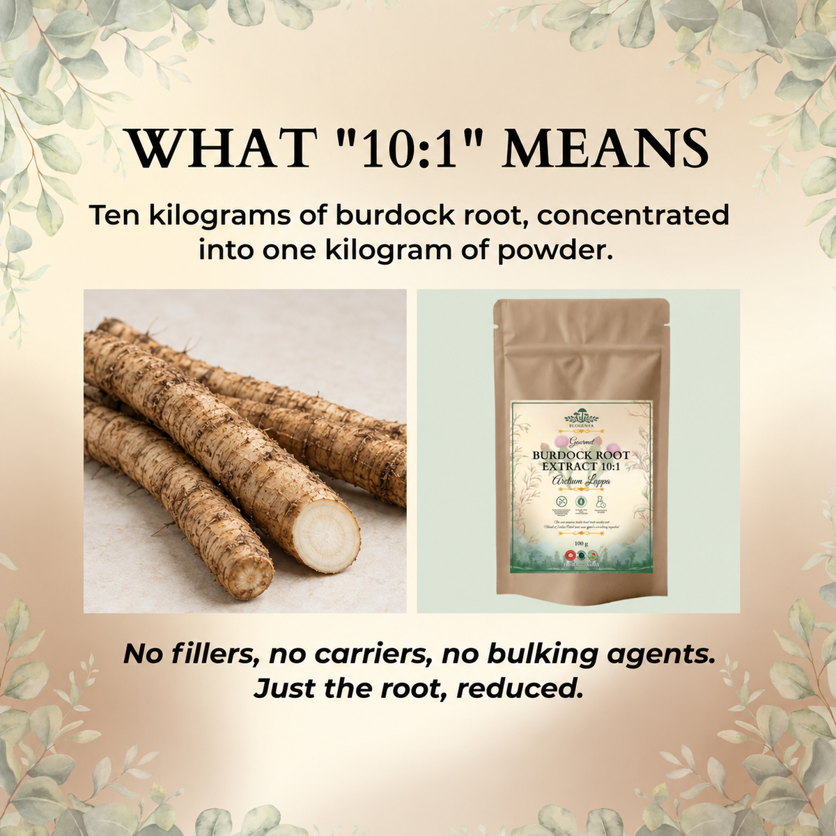 Burdock Root Extract 10:1 – Earthy, Whole-Root, Kitchen-Ready