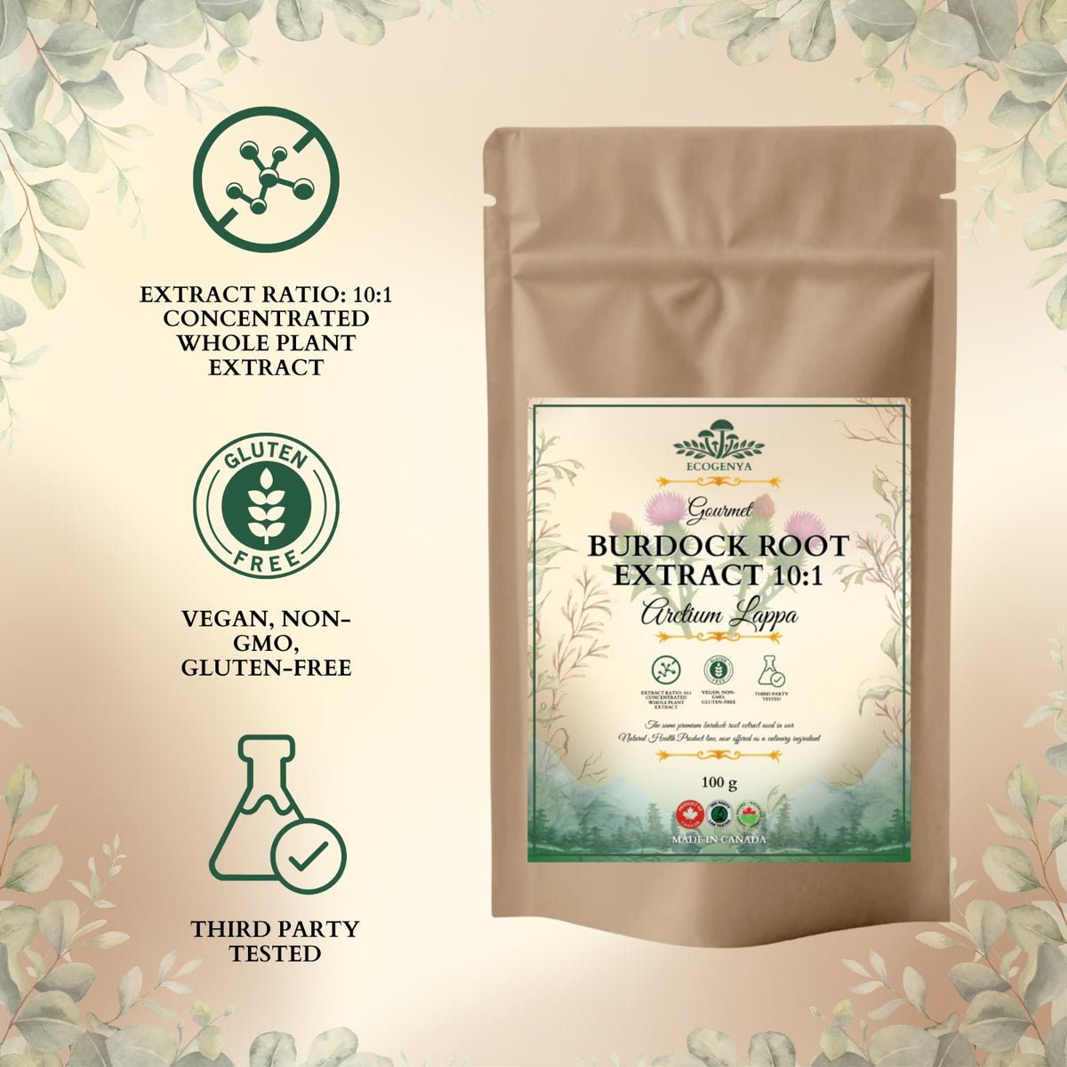 Burdock Root Extract 10:1 – Earthy, Whole-Root, Kitchen-Ready