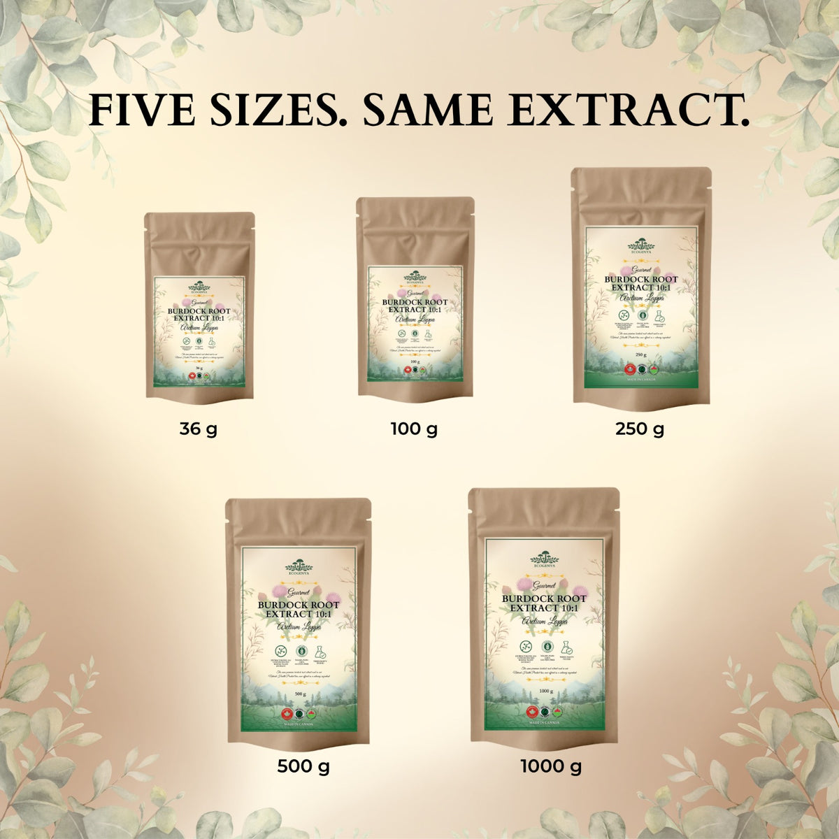 Burdock Root Extract 10:1 – Earthy, Whole-Root, Kitchen-Ready