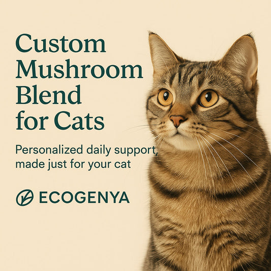 Custom blended extract for Cats
