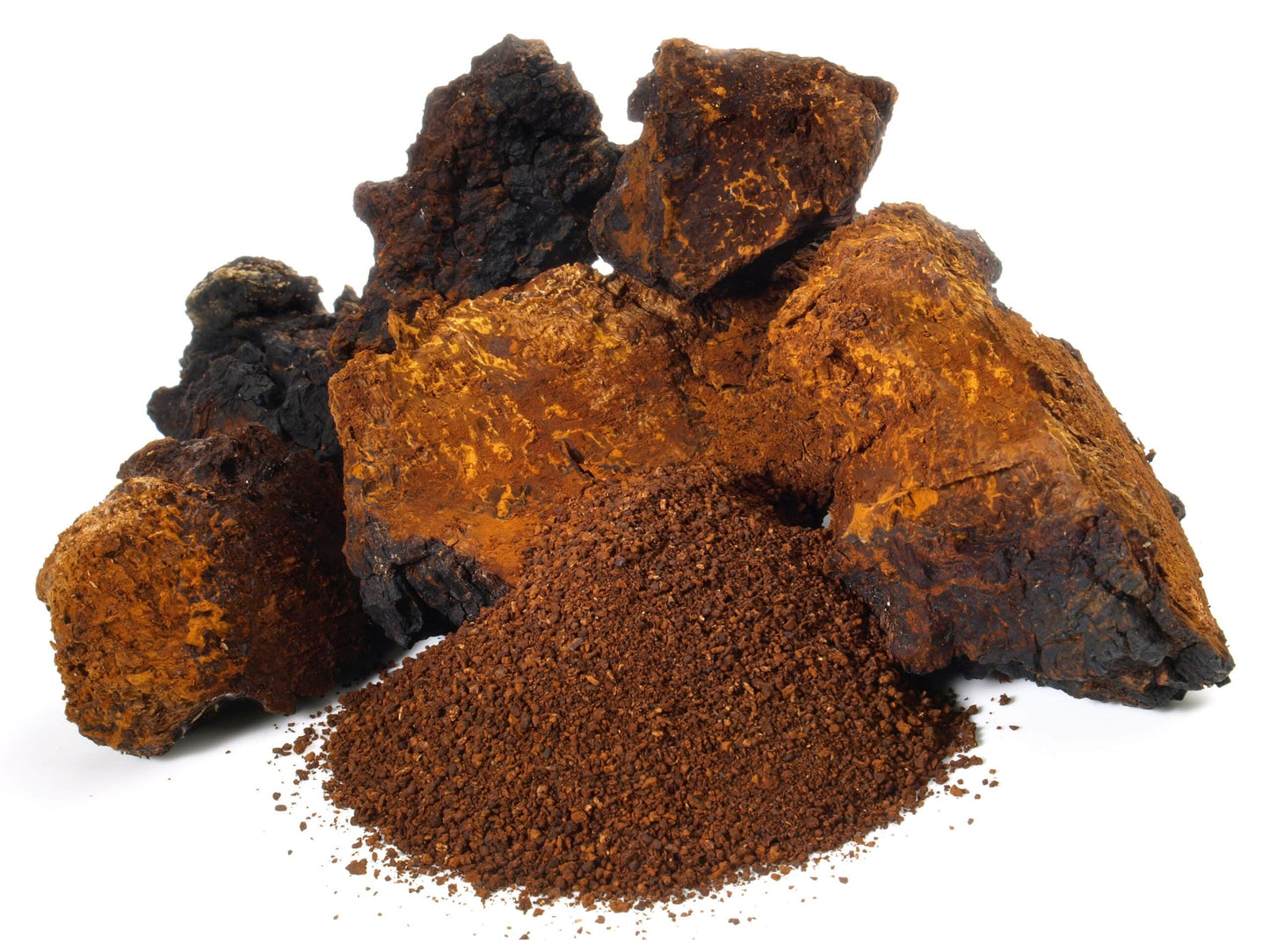 Gourmet Chaga – Organic Mushroom Extract Powder