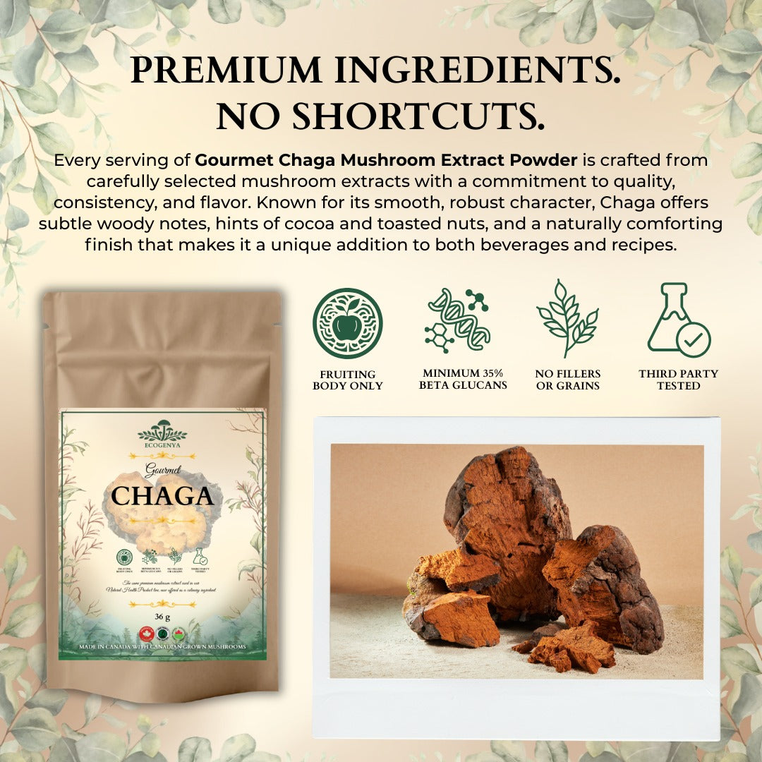 Ecogenya Gourmet Chaga Mushroom Powder – Wild-Harvested Canadian Organic 10:1 Extract