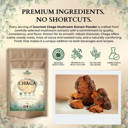 Ecogenya Gourmet Chaga Mushroom Powder – Wild-Harvested Canadian Organic 10:1 Extract
