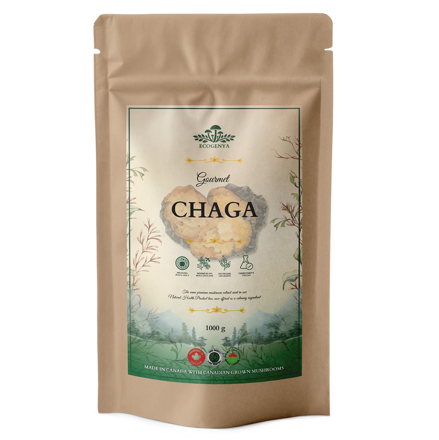 Ecogenya Gourmet Chaga Mushroom Powder – Wild-Harvested Canadian Organic 10:1 Extract