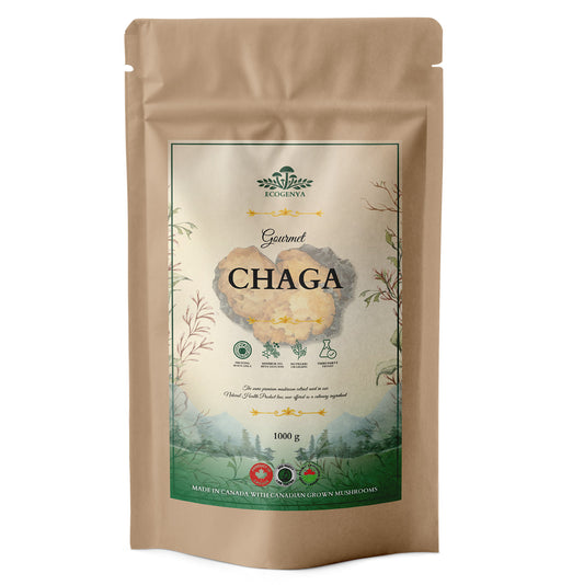 Chaga Gourmand – Poudre d'extrait de champignon biologique