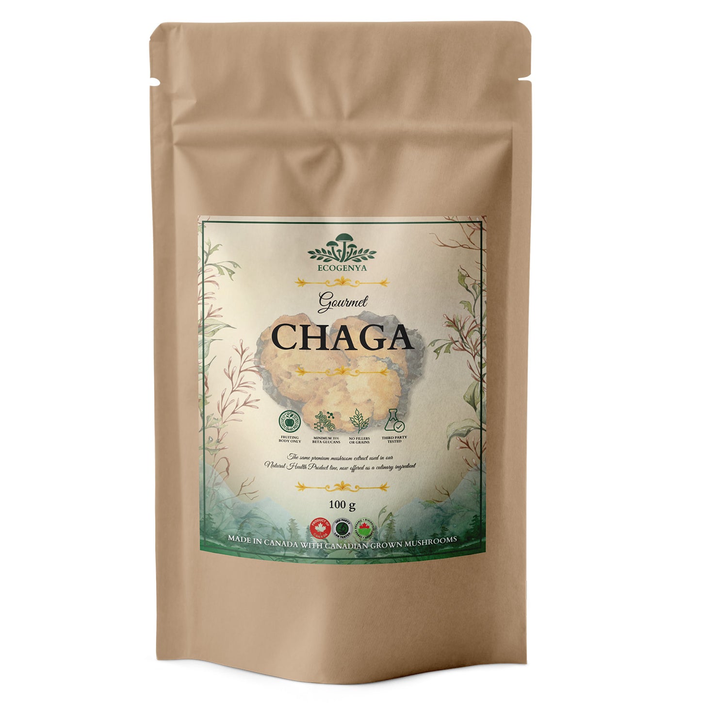 Ecogenya Gourmet Chaga Mushroom Powder – Wild-Harvested Canadian Organic 10:1 Extract