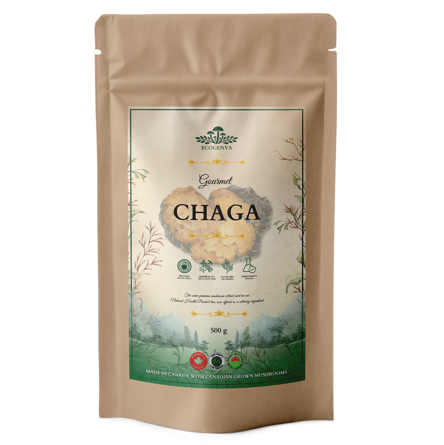 Ecogenya Gourmet Chaga Mushroom Powder – Wild-Harvested Canadian Organic 10:1 Extract