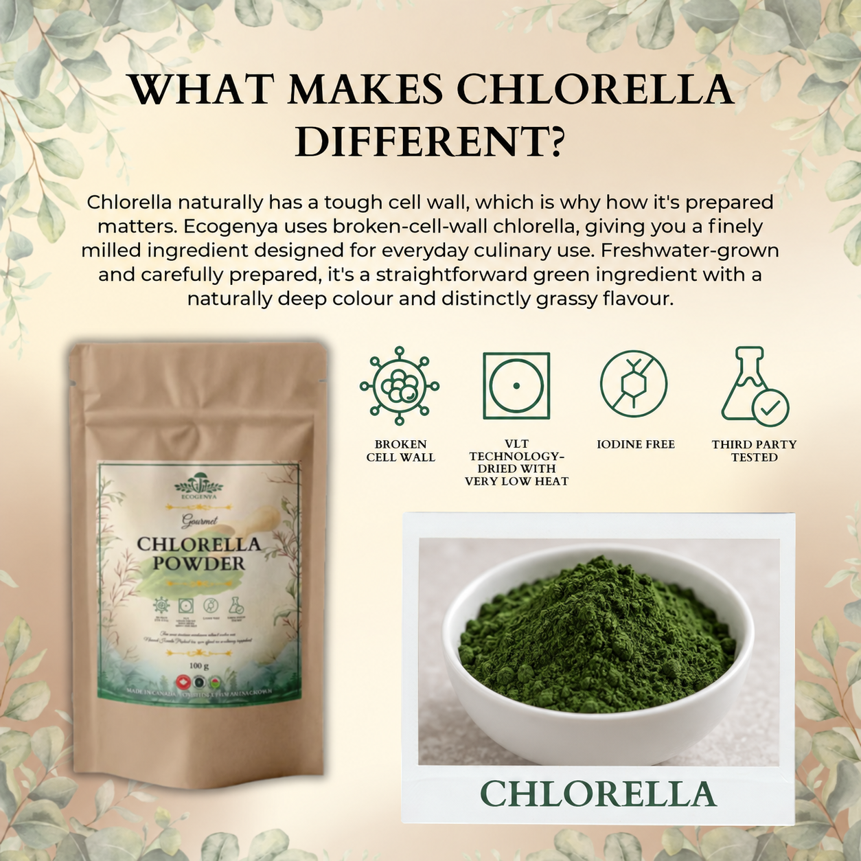 Ecogenya Daily Greens Chlorella Powder – Broken Cell Wall Chlorella for Smoothies & Juices