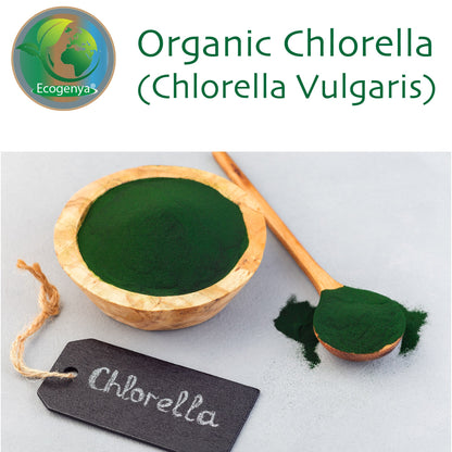 Chlorella Spirulina Tablets - 500mg | Powerful Detox & Immune Boost | Organic Superfood Supplement - Ecogenya