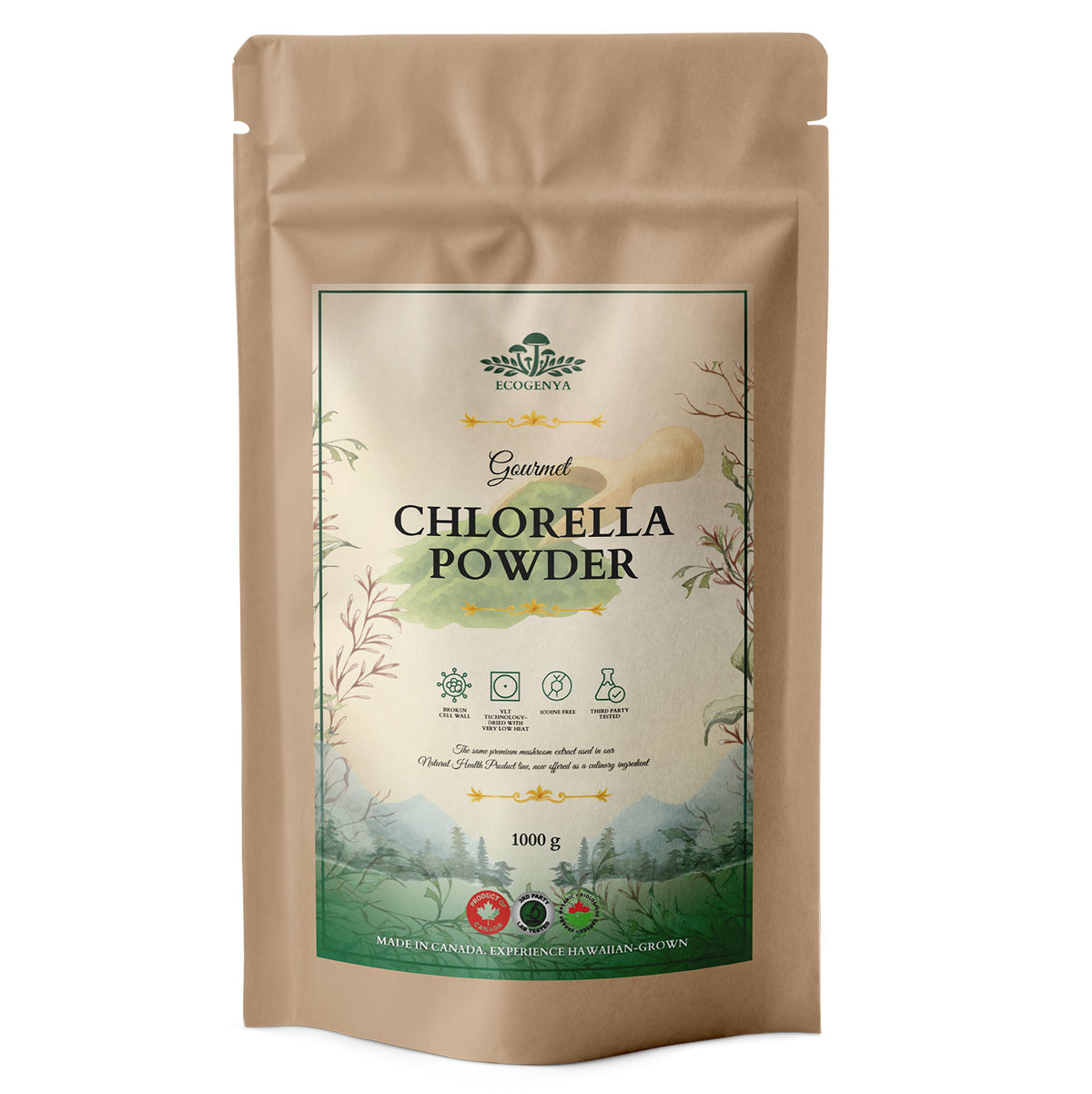 Ecogenya Daily Greens Poudre de Chlorelle – Chlorelle à Paroi Cellulaire Brisée pour Smoothies et Jus