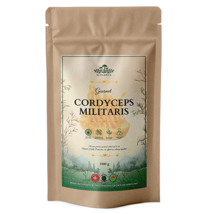 Mélange Gourmet Super 7 Champignons – Poudre d'Extrait de Champignons Biologique